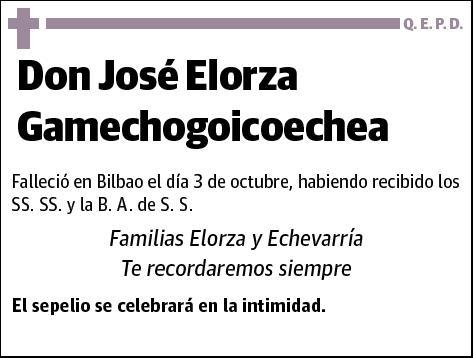 ELORZA GAMECHOGOICOECHEA,JOSE