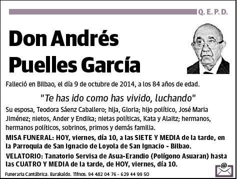 PUELLES GARCIA,ANDRES