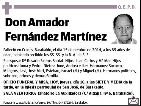 FERNANDEZ MARTINEZ,AMADOR