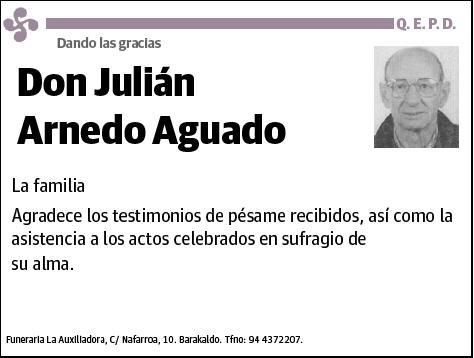 ARNEDO AGUADO,JULIAN