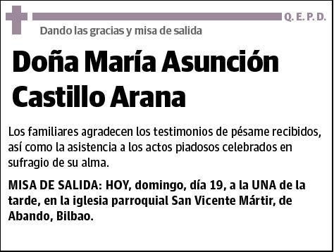 CASTILLO ARANA,MARÍA ASUNCIÓN
