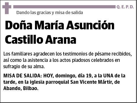 CASTILLO ARANA,MARÍA ASUNCIÓN