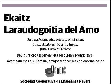 LARADOUGOITIA DEL AMO,EKAITZ