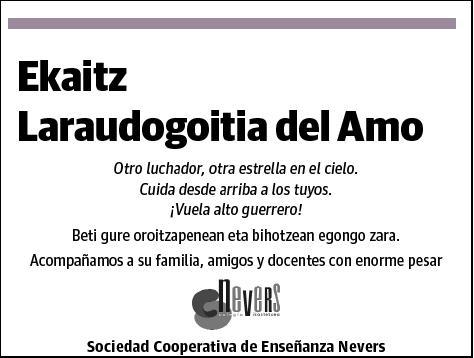 LARADOUGOITIA DEL AMO,EKAITZ