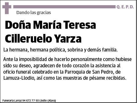 CILLERUELO YARZA,MARIA TERESA