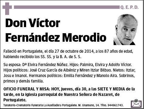 FERNANDEZ MERODIO,VICTOR