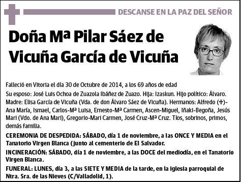 SAEZ DE VICUÑA GARCIA DE VICUÑA,Mª PILAR