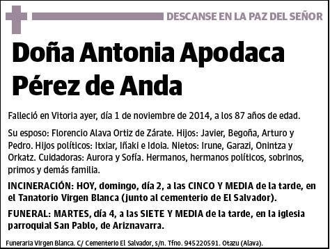 APODACA PEREZ DE ANDA,ANTONIA