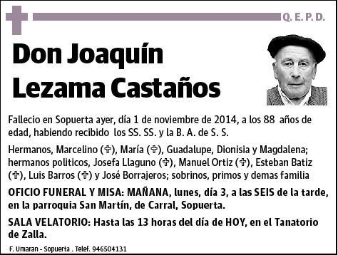 LEZAMA CASTAÑOS,JOAQUIN