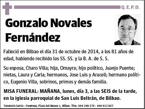 NOVALES FERNANDEZ,GONZALO