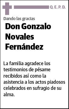 NOVALES FERNANDEZ,GONZALO