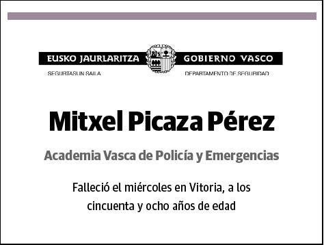 PICAZA PEREZ,MITXEL