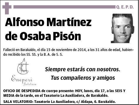 MARTINEZ DE OSABA PISON,ALFONSO