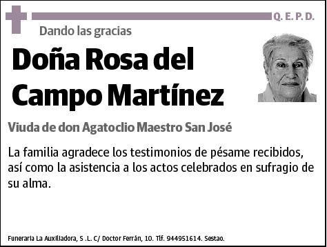 DEL CAMPO MARTINEZ,ROSA