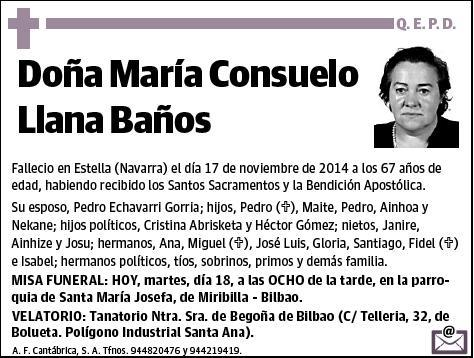 LLANA BAÑOS,MARIA CONSUELO