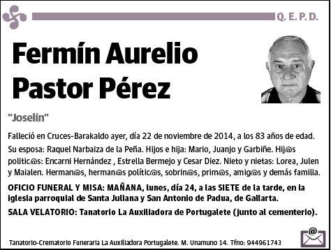 PASTOR PEREZ,FERMIN AURELIO