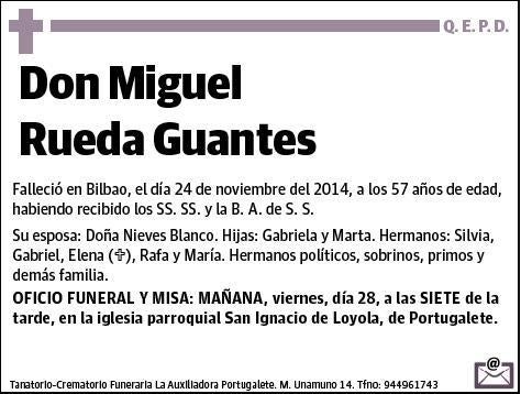 RUEDA GUANTES,MIGUEL