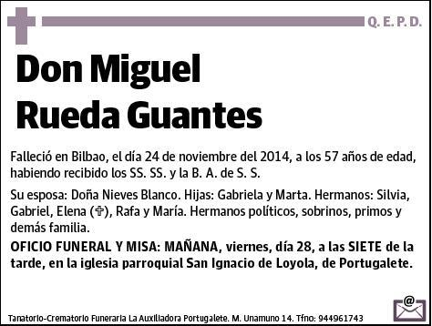 RUEDA GUANTES,MIGUEL