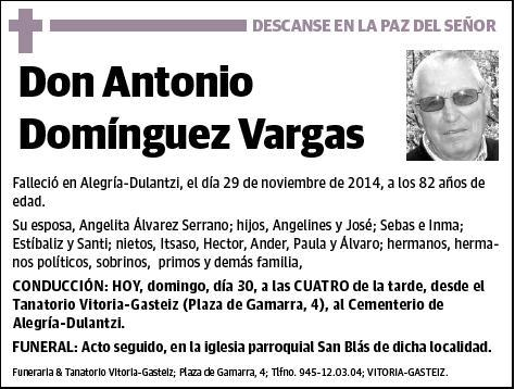 DOMINGUEZ VARGAS,ANTONIO