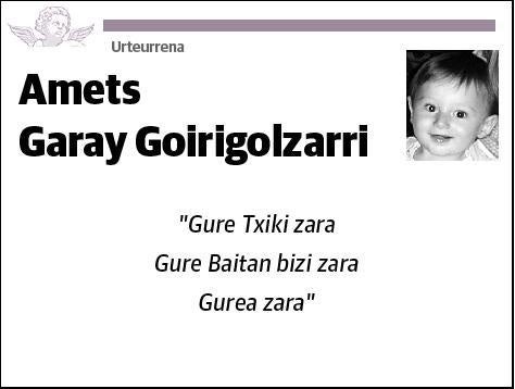 GARAY GOIRIGOLZARRI,AMETS