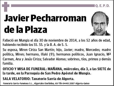 PECHARROMAN DE LA PLAZA,JAVIER