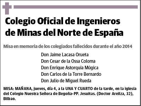 DE INGENIEROS DE MINAS DEL NORTE,COLEGIO OFICIAL