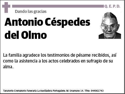 CESPEDES DEL OLMO,ANTONIO