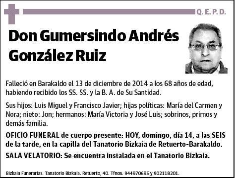 GONZALEZ RUIZ,GUMERSINDO ANDRES