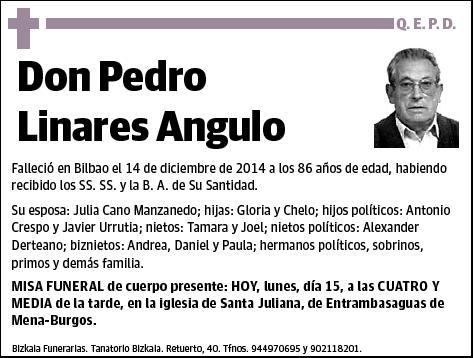 LINARES ANGULO,PEDRO