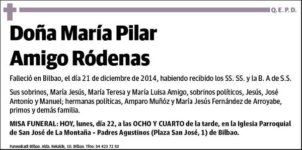 AMIGO RODENAS,MARIA PILAR