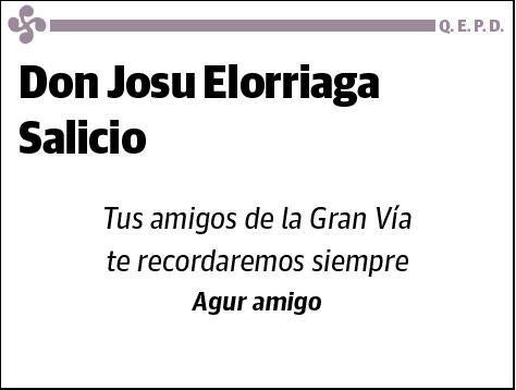 ELORRIAGA SALICIO,JOSU