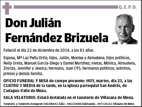 FERNANDEZ BRIZUELA,JULIAN