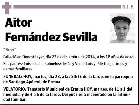 FERNANDEZ SEVILLA,AITOR