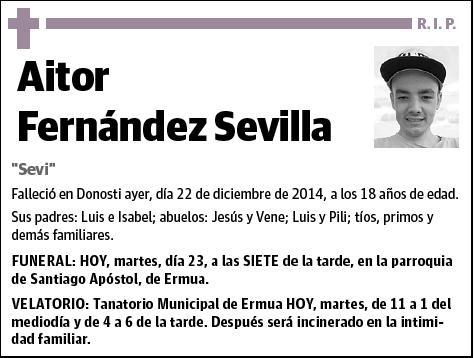 FERNANDEZ SEVILLA,AITOR