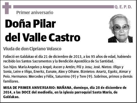 DEL VALLE CASTRO,PILAR