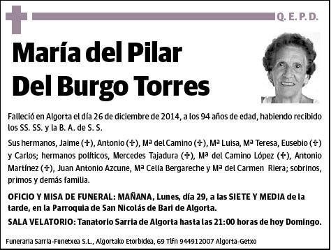 DEL BURGO TORRES,MARIA DEL PILAR