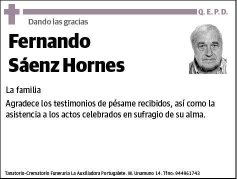 SAENZ HORNES,FERNANDO