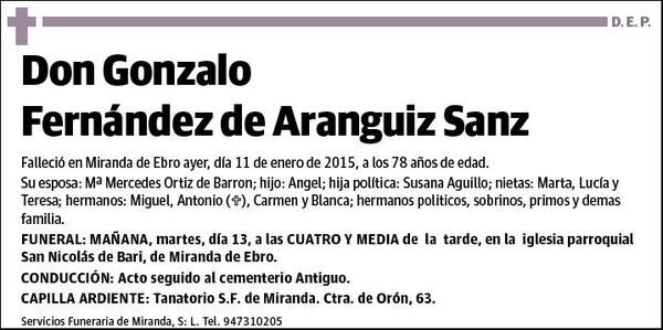 FERNANDEZ DE ARANGUIZ SANZ,GONZALO