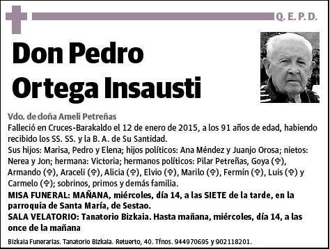 ORTEGA INSAUSTI,PEDRO