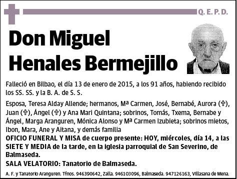 HENALES BERMEJILLO,MIGUEL