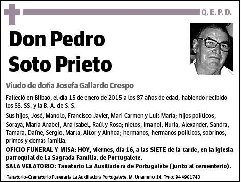 SOTO PRIETO,PEDRO