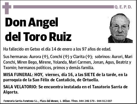 DEL TORO RUIZ,ANGEL