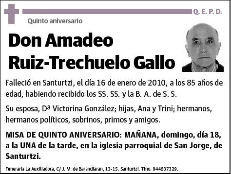 RUIZ- TRECHUELO GALLO,AMADEO