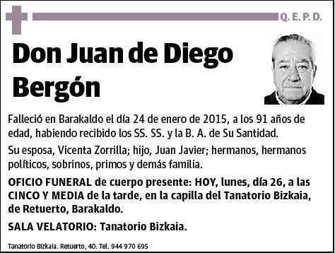 DE DIEGO BERGON,JUAN