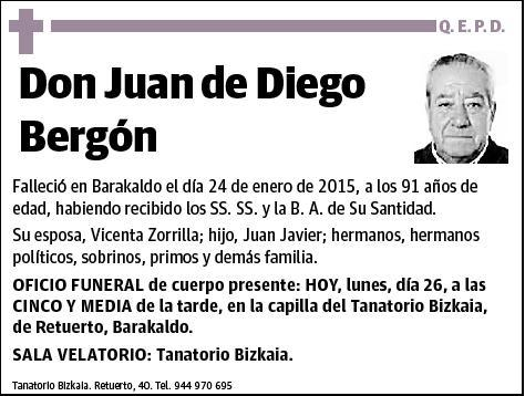 DE DIEGO BERGON,JUAN