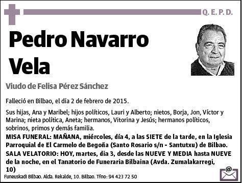 NAVARRO VELA,PEDRO