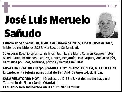 MERUELO SAÑUDO,JOSE LUIS