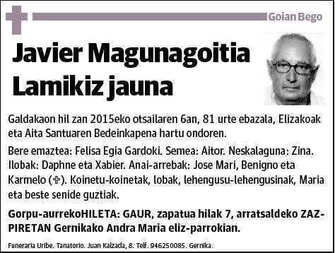 MAGUNAGOITIA LAMIKIZ,JAVIER