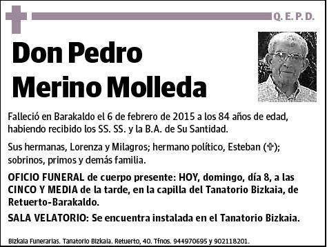 MERINO MOLLEDA,PEDRO