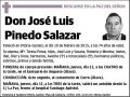 PINEDO SALAZAR,JOSE LUIS